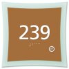 DCO1-RN55A